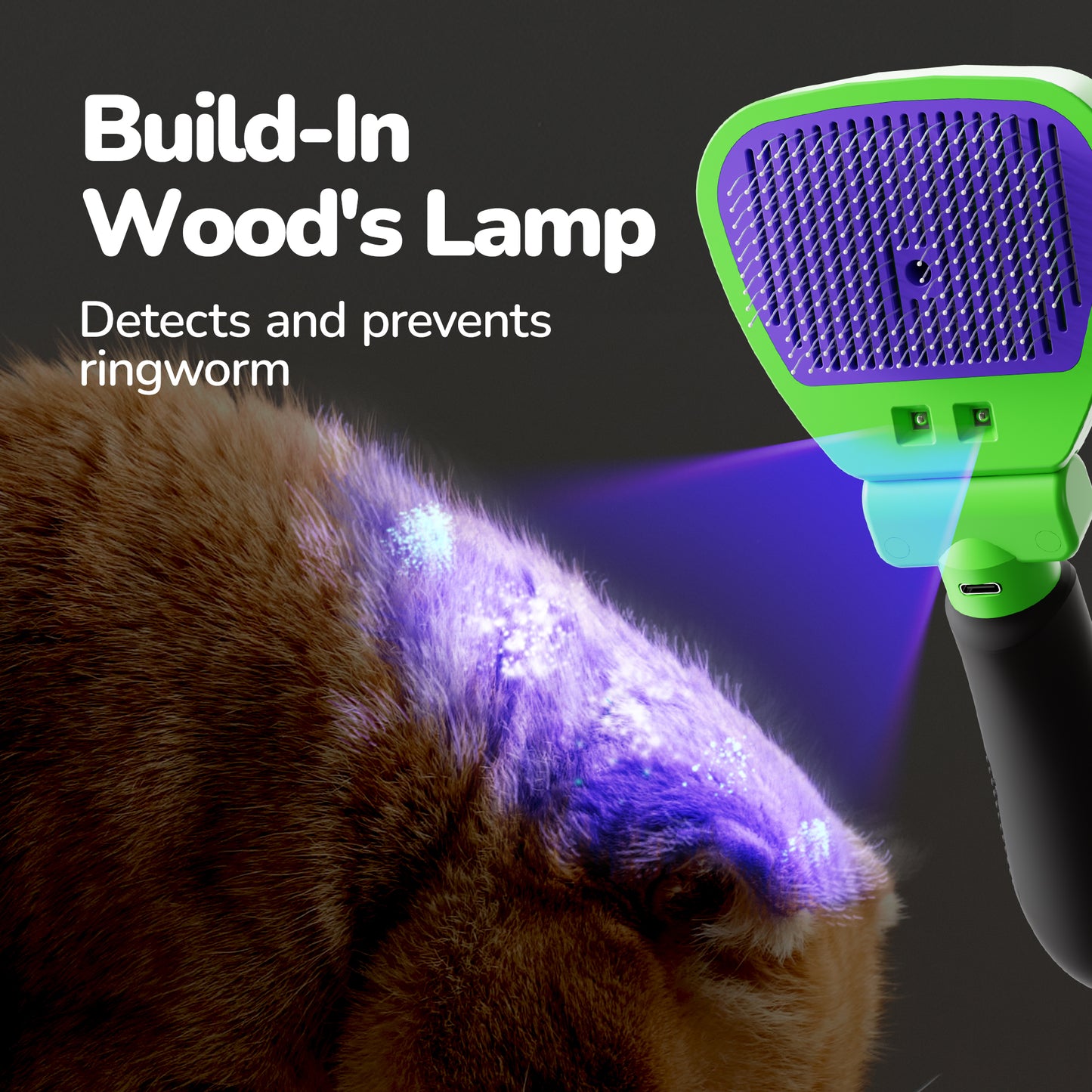 Fido Fave Self-Cleaning Cat Slicker Brush for Short & Long Hair, Shedding & Grooming Brush with Wood’s Lamp