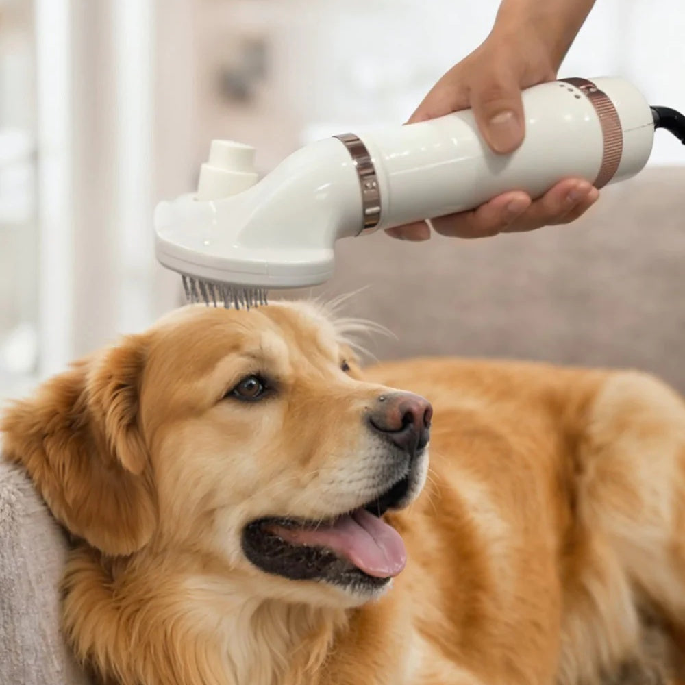 Pet Hair Dryer, Portable Dog Grooming Hair Dryer with Self Cleaning Slicker Brush
