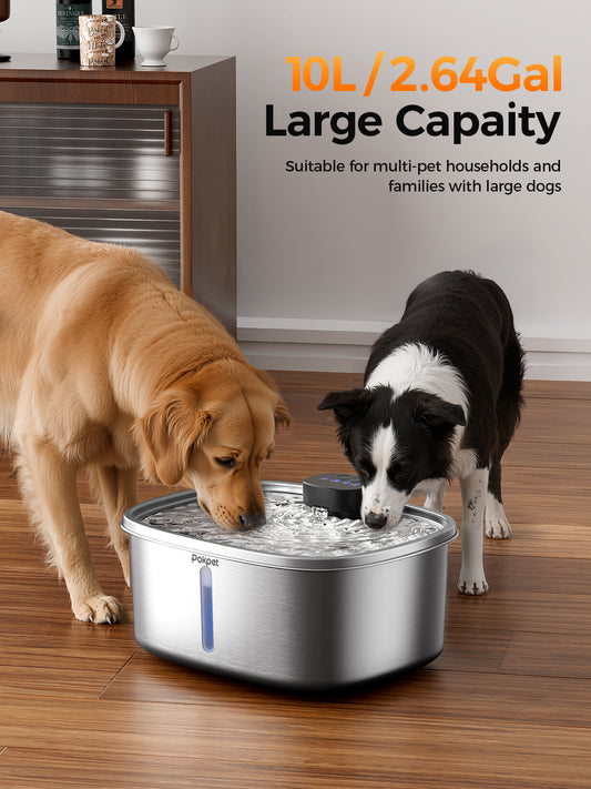 2.64 Gallon Large Capacity All-Stainless Steel Automatic Dog Water Fountain