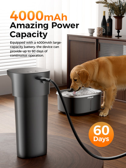 2.64 Gallon Large Capacity Automatic Pet Water Fountain,Black