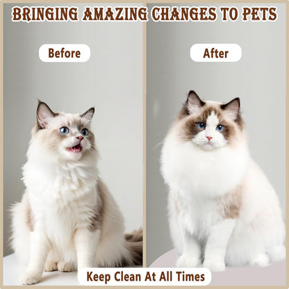 Pet Steam Brush for Dog & Cat, 3 in 1 Pet Spray Hair Removal Comb Rechargeable Steam for Shedding & Grooming Water Brush for Long Short Haired Pets for Removes Loose Hair and Reduces Shedding