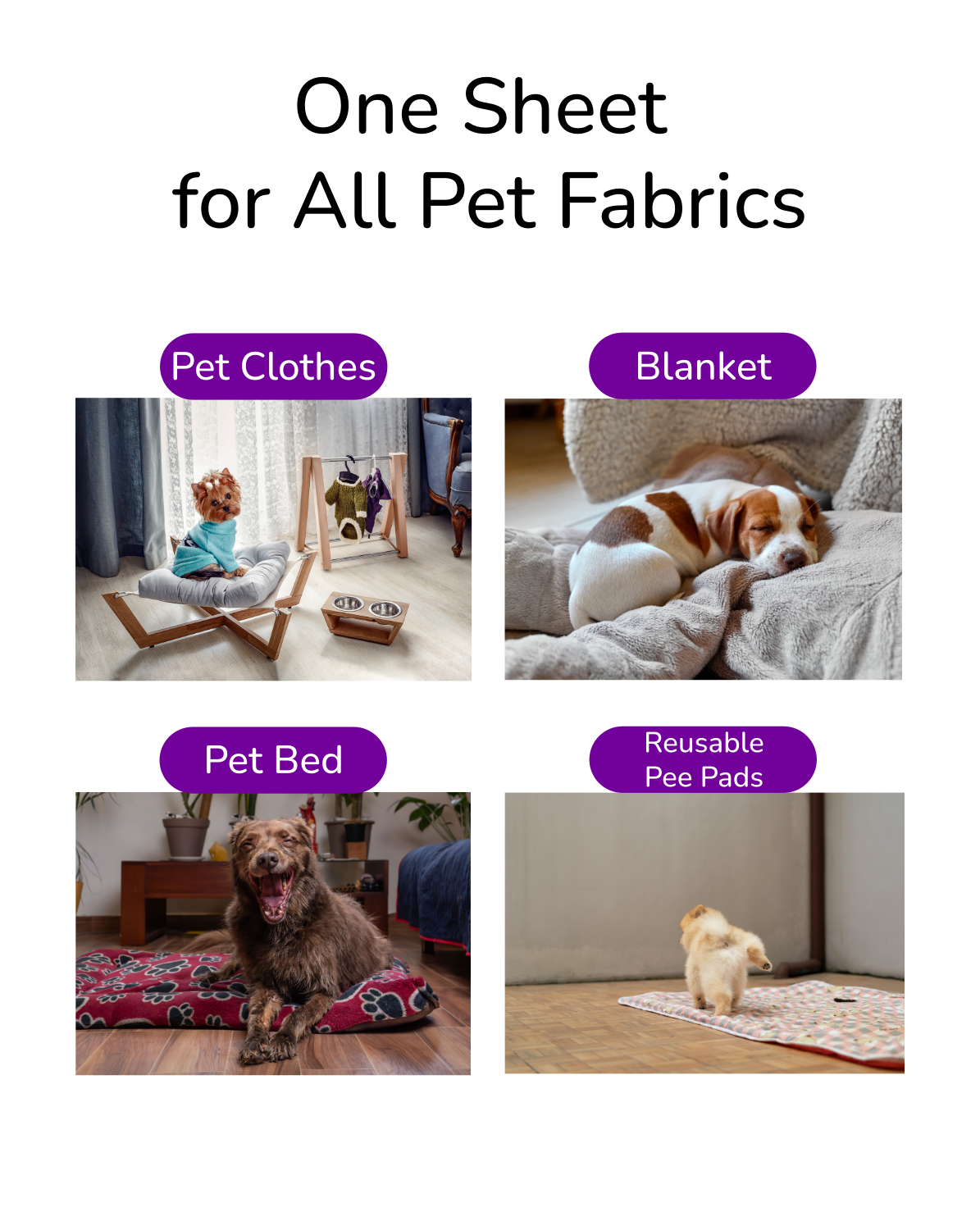 Fido Fave Pet Laundry Detergent Sheets, 30 sheets up to 60 loads