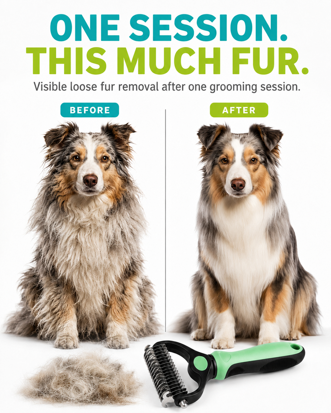 Before and after one Australian Shepherd grooming session, with the removed fur and the mint green-handled rake