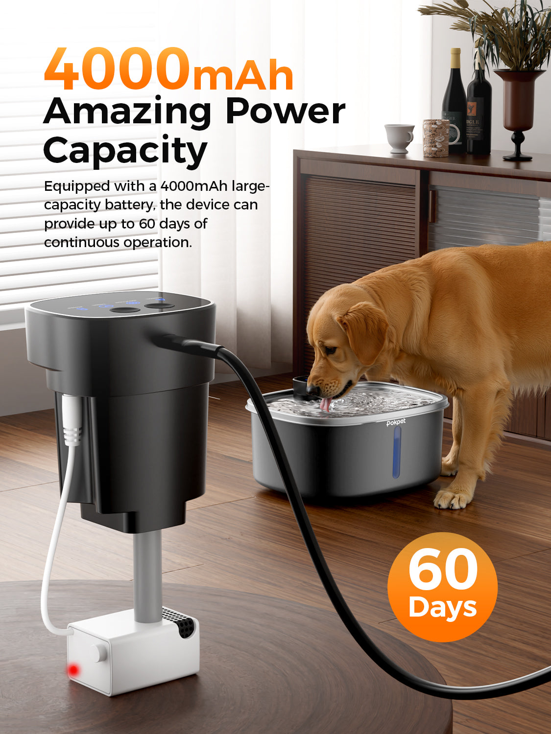 2.64 Gallon Large Capacity Automatic Pet Water Fountain,Black