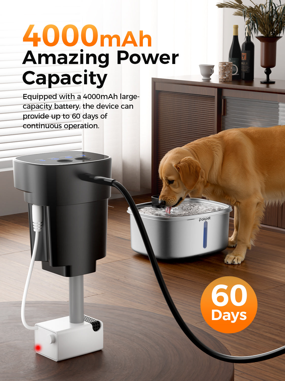 2.64 Gallon Large Capacity All-Stainless Steel Automatic Dog Water Fountain