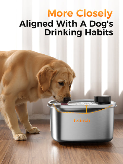 2.64 Gallon Large Capacity All-Stainless Steel Automatic Dog Water Fountain
