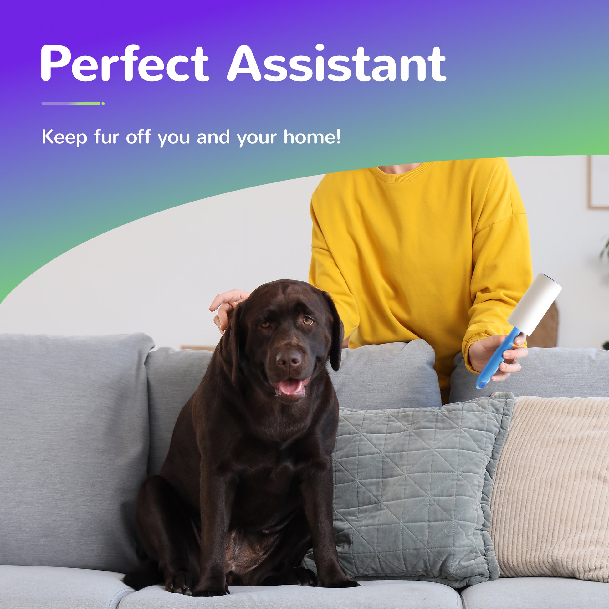 Lint roller for pet hair — detail