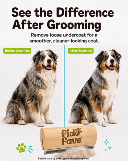 Before and after grooming an Australian Shepherd with the Fido Fave deshedding brush