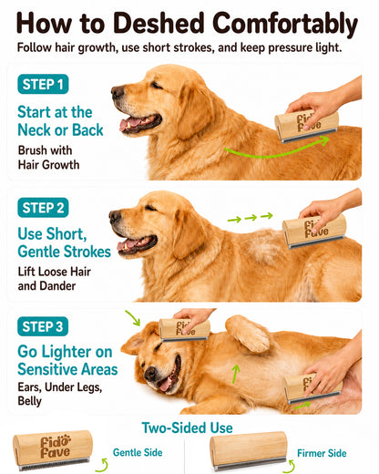Three steps for deshedding — start at the neck, use short gentle strokes, go lighter on sensitive areas
